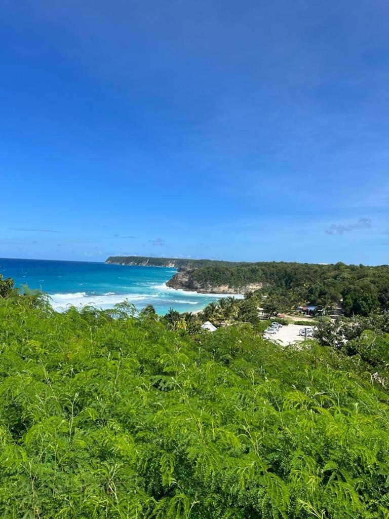  La Kaz A Coyoky Villa Anse-Bertrand Bagian luar foto